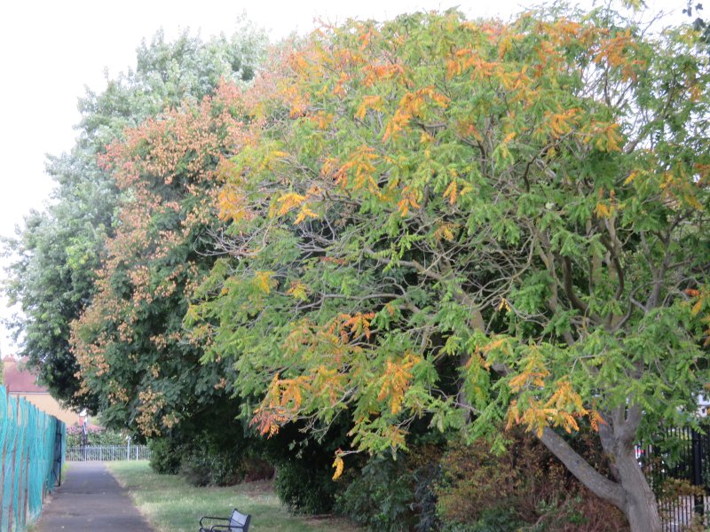 Cuddington Recreation Ground